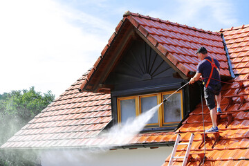 Services for Roof Cleaning